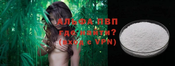 МДПВ Инсар